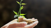 Funrural_Agro_Dinheiro_moedas_crescimento agro