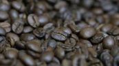 Cafe Grao Torrado - CNA (1)
