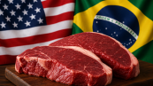 Carne bovina - bandeiras EUA e Brasil