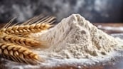 Farinha-de-trigo-Abitrigo