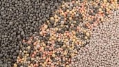 fertilizantes-npk