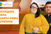 BOA TARDE AGRONEGÓCIO