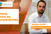 BOLETINS THUMB CACAU