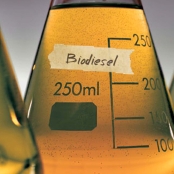 biodesel