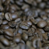 Cafe Grao Torrado - CNA (1)