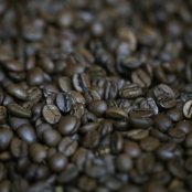 Cafe Grao Torrado - CNA (3)