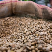 Cafe Graos Qualidade - CNA (4)