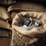 exportacao_saca_cafe (5)