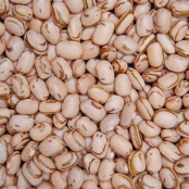 feijao
