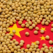 Soja China