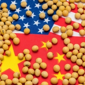 Soja China-EUA