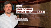 Alberto Pessina - Consultor de mercado e fundador da AgroMove -thumb