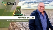 ALVARO