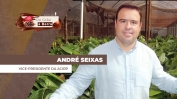ANDRE 2