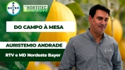 AURISTEMIO