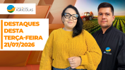 BOA TARDE AGRONEGÓCIO