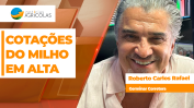 BOLETINS THUMB MILHO