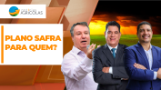 BOLETINS THUMB PLANO SAFRA