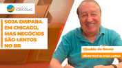 BOLETINS THUMB SOJA