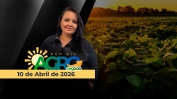 CAPA DO YOUTUBE_BOM DIA AGRO-ÍNTEGRA