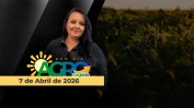 CAPA DO YOUTUBE_BOM DIA AGRO-ÍNTEGRA
