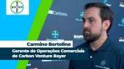 carmino 2