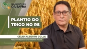 CELIO 2