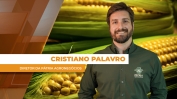 Cristiano Palavro -st