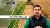 FELIPE