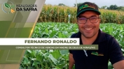 FERNANDO 2