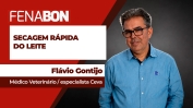 FLAVIO CONTIJO