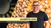 gilberto