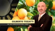 GILBERTO