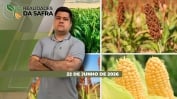 ÍNTERGRA
