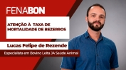 LUCAS FELIPE
