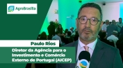 PAULO 1