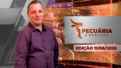 P&M THUIMB ÍNTEGRA
