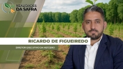 RICARDO 2