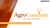 Sem-Título-1