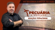 THUMB - ÍNTEGRA - PECUÁRIA & MERCADO