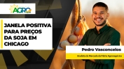THUMB - PEDRO VASCONCELOS - BDA - 13-08.jpg (1)