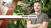thumb Pietro Amorim 1