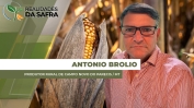 THUMB - RDS - Antonio Brolio - DIA 25