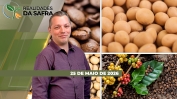 THUMB_REALIDADES_2025_SITE