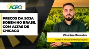 VINICIUS.jpg