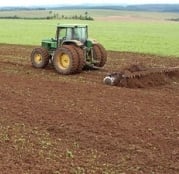 Plantio no Paraná - Foto: Cocamar