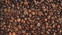 Café - Grão