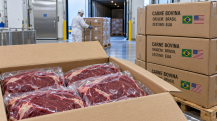 Carne bovina brasileira rumo aos EUA