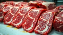 exportacao-de-carne-bovina-atinge-novo-recorde-em-abril-de-2025-1024x576
