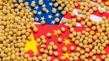 Soja China-EUA